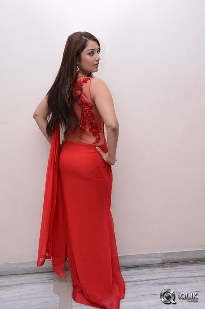 Nikitha-at-Terror-Movie-Press-Meet